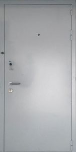 Однопольная техническая дверь 11