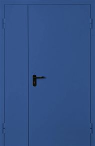 Синяя противопожарная полуторная дверь ДМП-П1